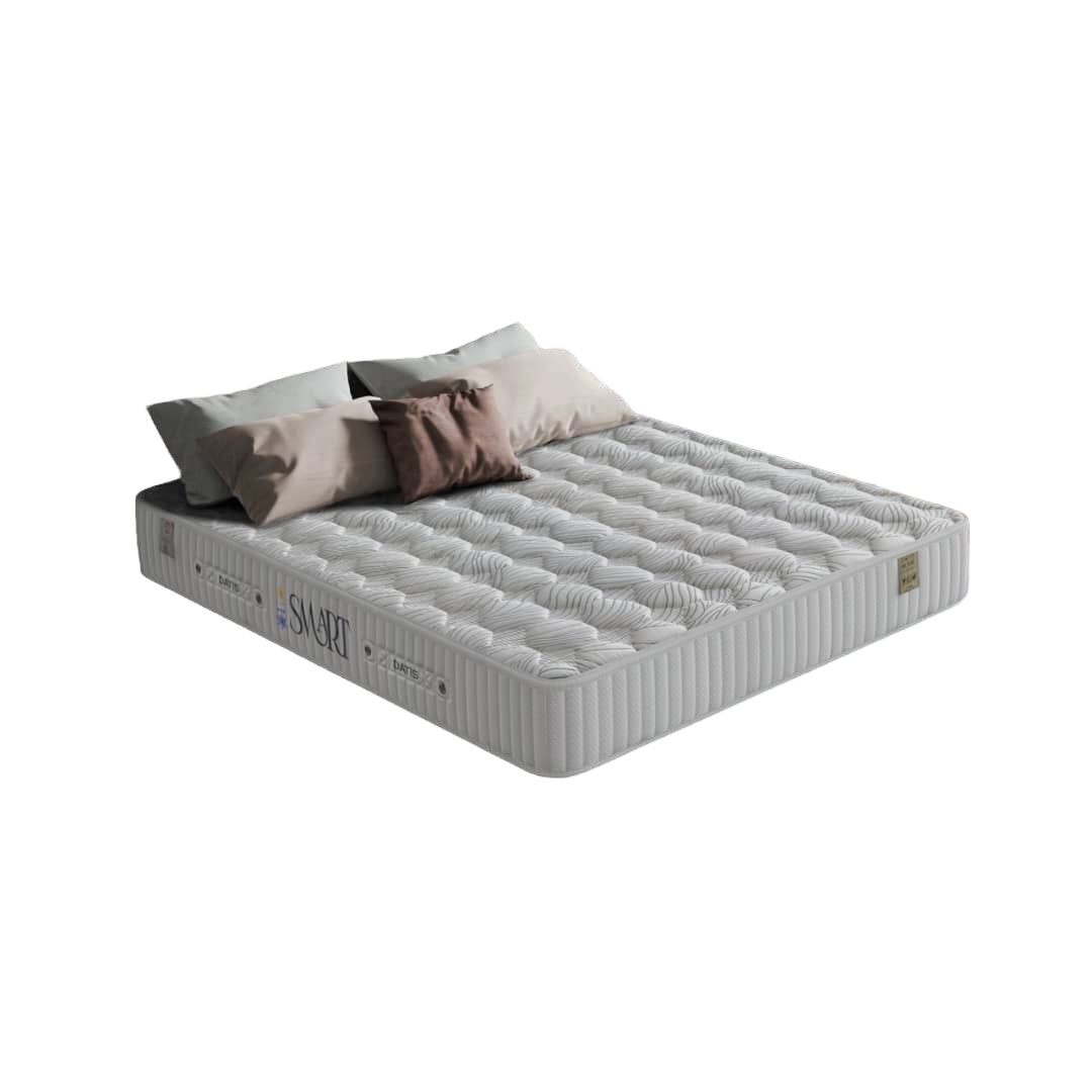 تشک اسمارت داتیس