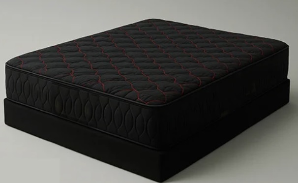 تشک اکسپریا مدل روژانو